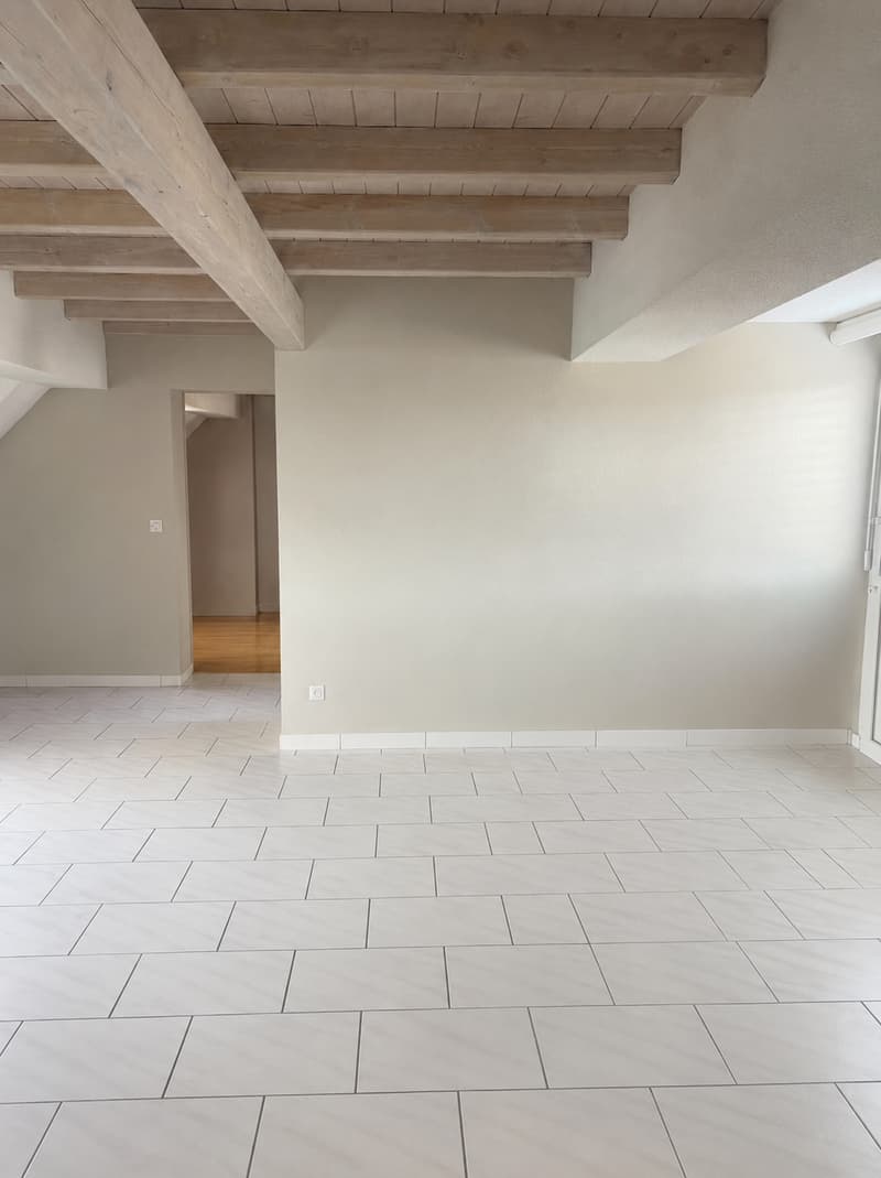 Charmante 2.5-Zimmer-Maisonette-Wohnung mit Dachterrasse im Herz von Luzern (11)