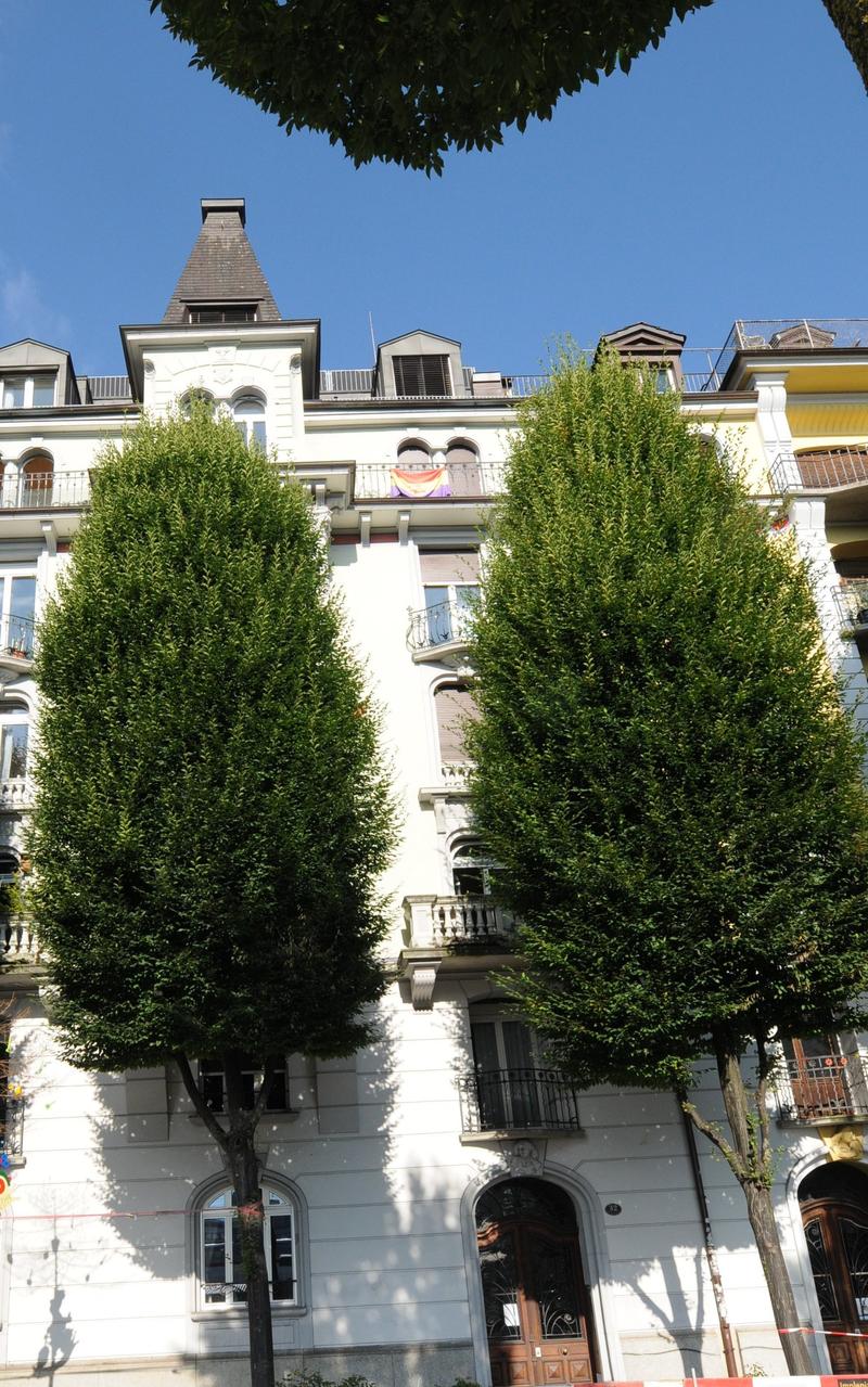 Charmante 2.5-Zimmer-Maisonette-Wohnung mit Dachterrasse im Herz von Luzern (2)