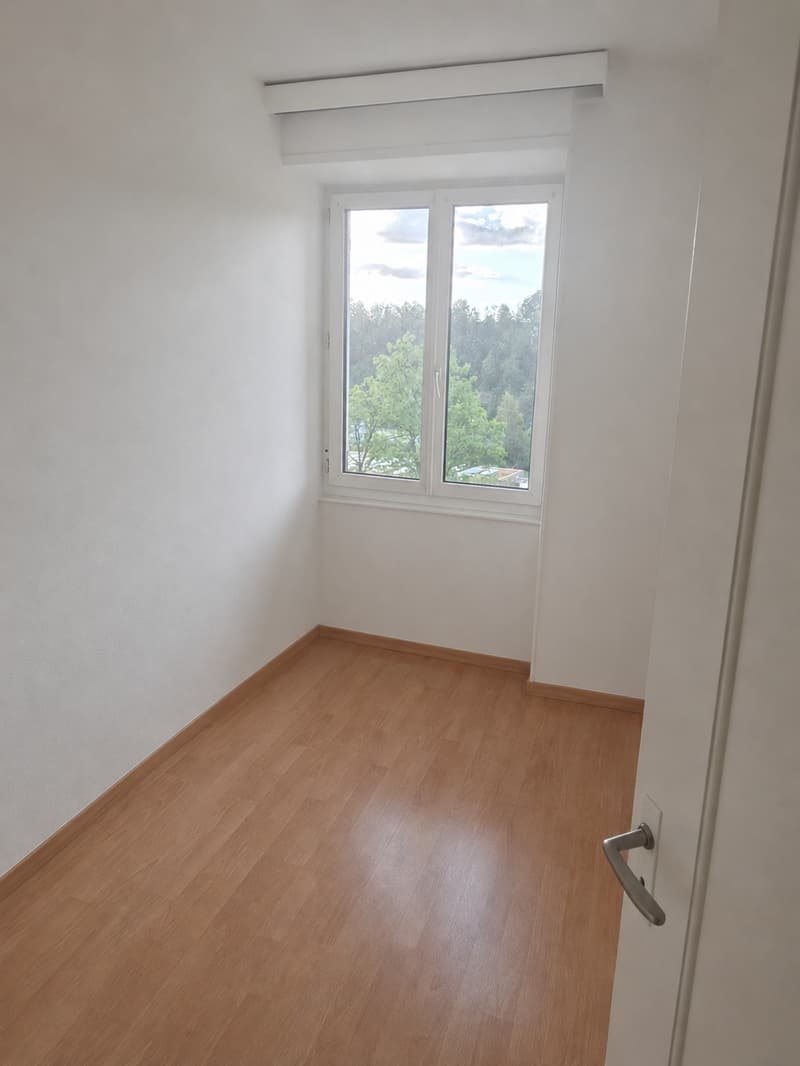 Charmante 3-Zimmer-Wohnung an der Maihofstrasse in Luzern (10)
