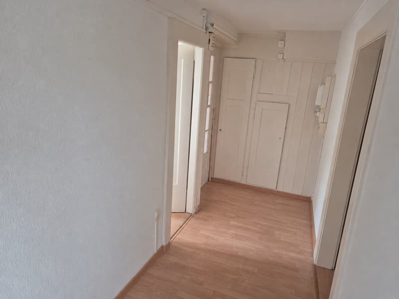 Charmante 3-Zimmer-Wohnung an der Maihofstrasse in Luzern (12)