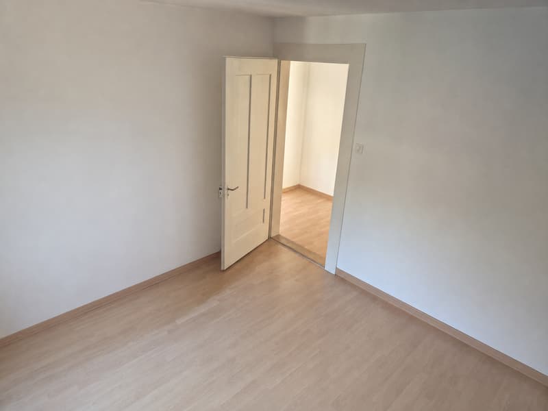 Charmante 3-Zimmer-Wohnung an der Maihofstrasse in Luzern (5)