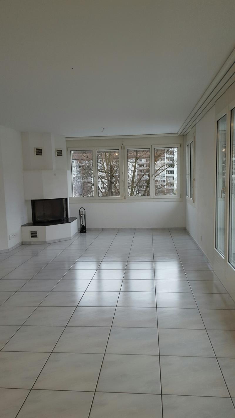 Tolle Dachwohnung im Herzen der Stadt Luzern zu vermieten (4)