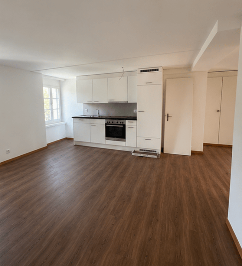 Helle 2-Zimmer-Wohnung in Kriens – frisch renoviert. (1)