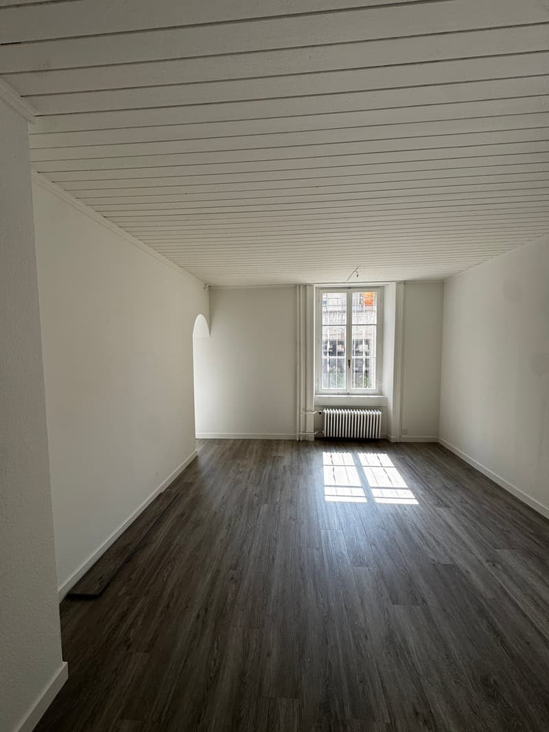 Charmante 4-Zimmer-Wohnung im Altbau an der Bireggstrasse, Luzern (3)