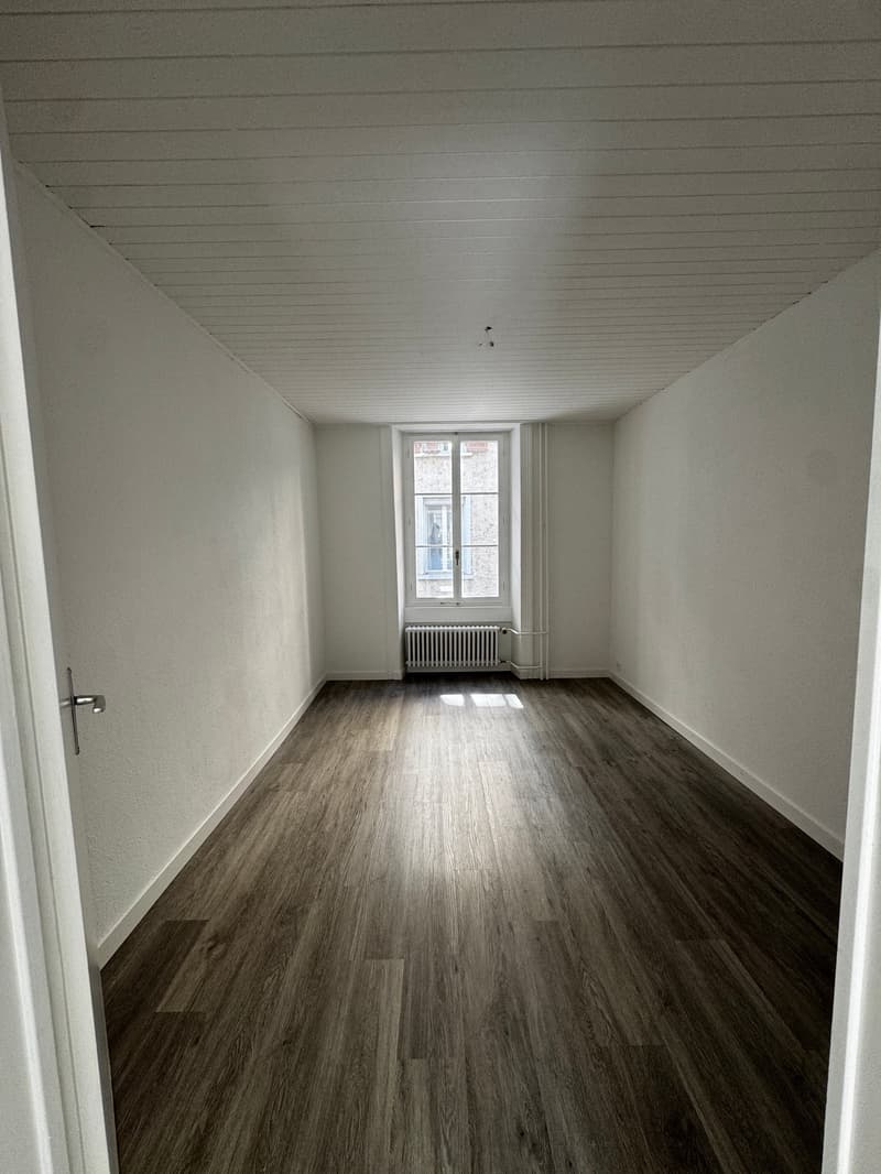 Charmante 4-Zimmer-Wohnung im Altbau an der Bireggstrasse, Luzern (7)