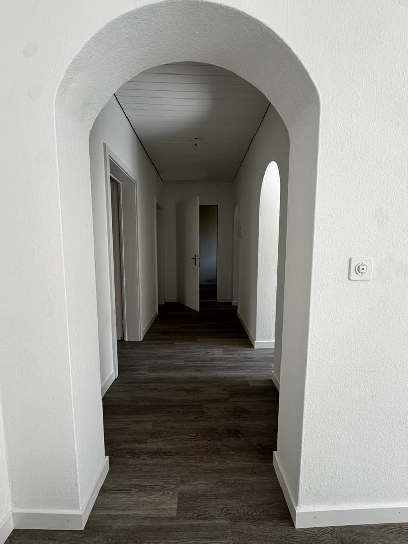 Charmante 4-Zimmer-Wohnung im Altbau an der Bireggstrasse, Luzern (2)