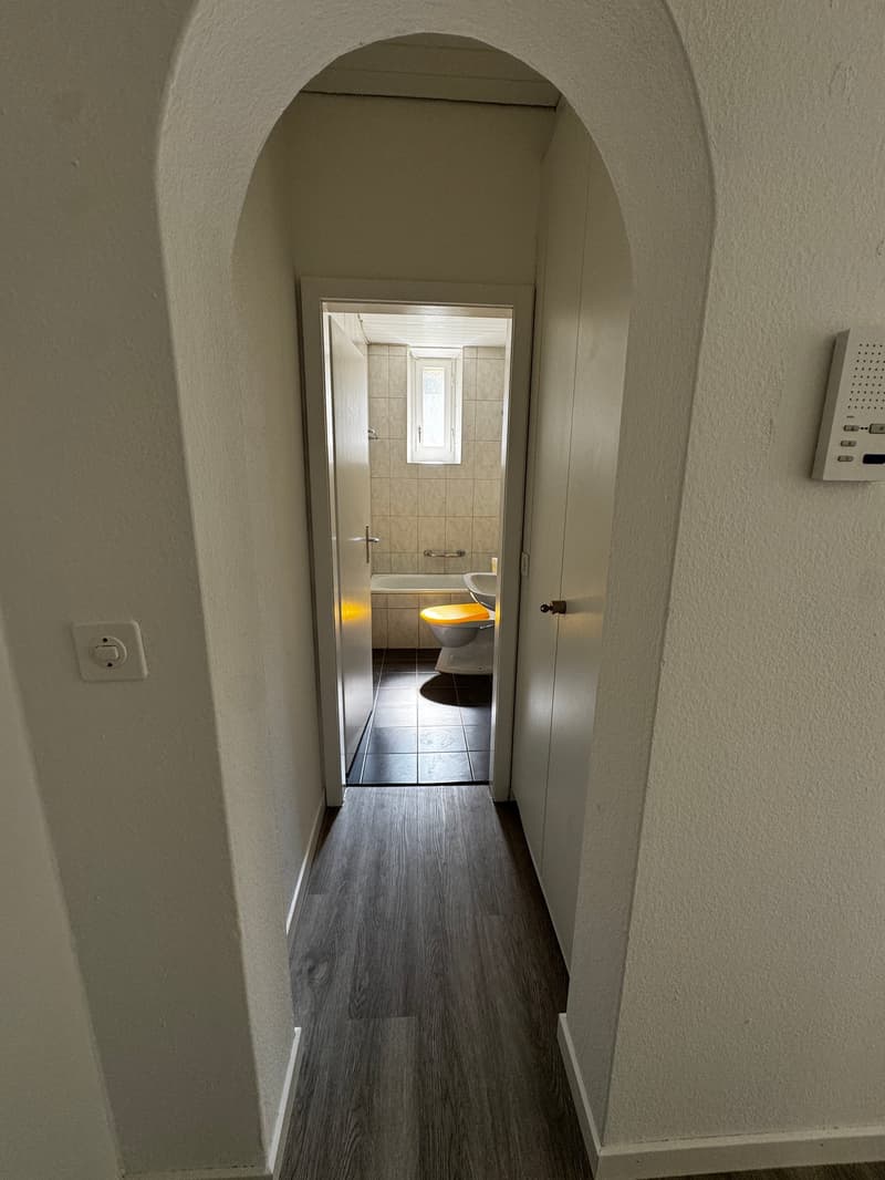 Charmante 4-Zimmer-Wohnung im Altbau an der Bireggstrasse, Luzern (5)