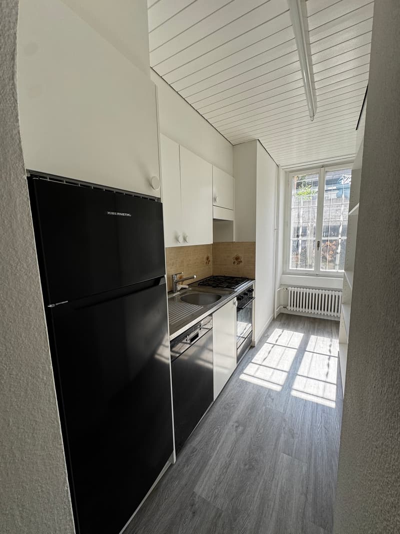 Charmante 4-Zimmer-Wohnung im Altbau an der Bireggstrasse, Luzern (9)