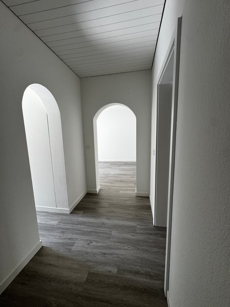 Charmante 4-Zimmer-Wohnung im Altbau an der Bireggstrasse, Luzern (11)