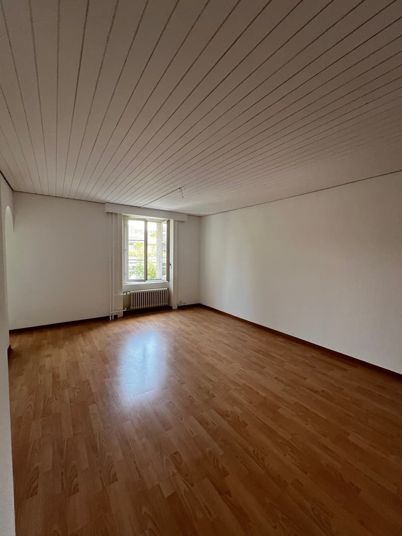 Charmante 4-Zimmer-Wohnung im Altbau (10021) (6)