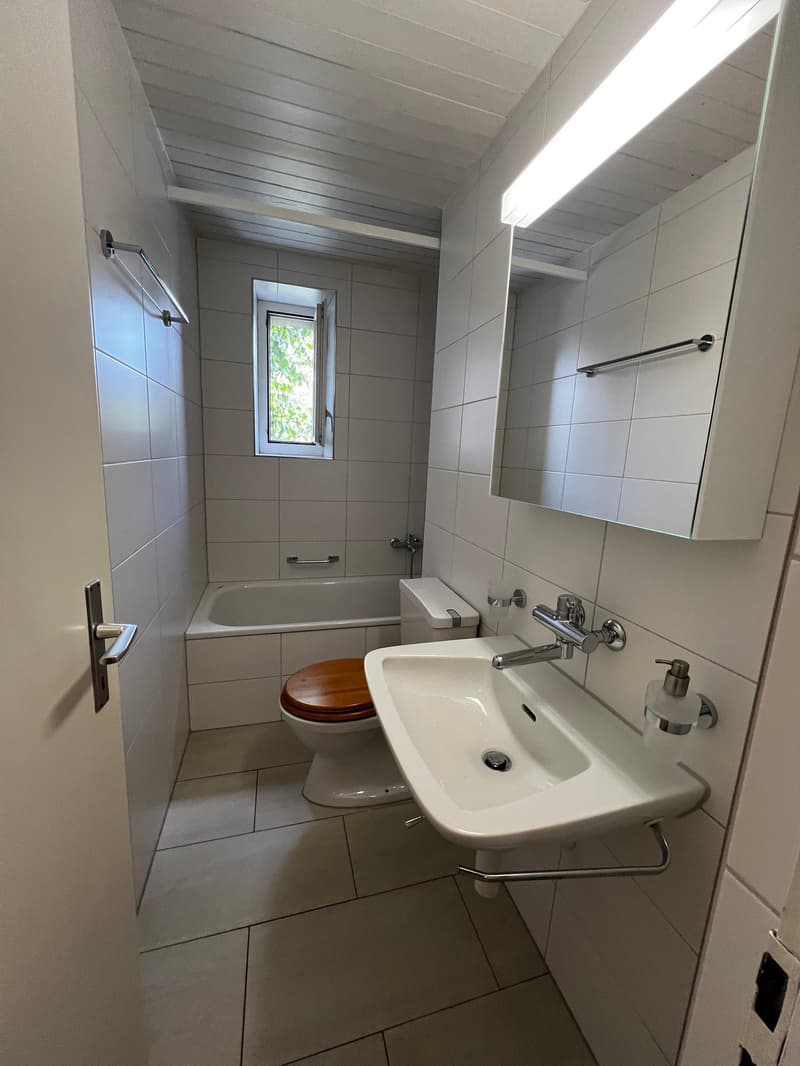 Charmante 4-Zimmer-Wohnung im Altbau (10021) (3)