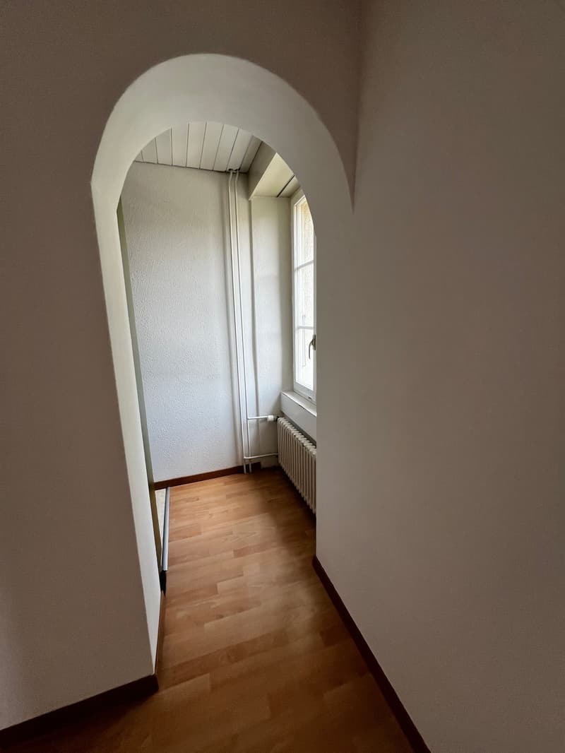 Charmante 4-Zimmer-Wohnung im Altbau (10021) (8)