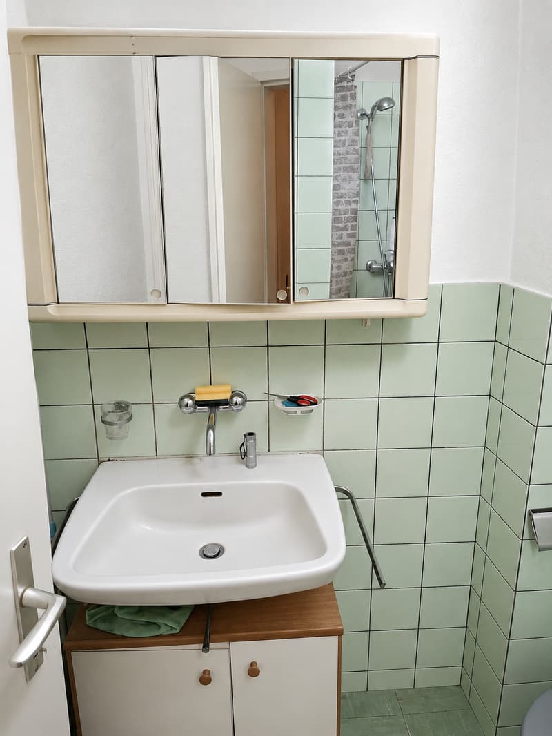 Gemütliche 1.5-Zimmer-Wohnung in Horw – sofort verfügbar! (10003) (4)