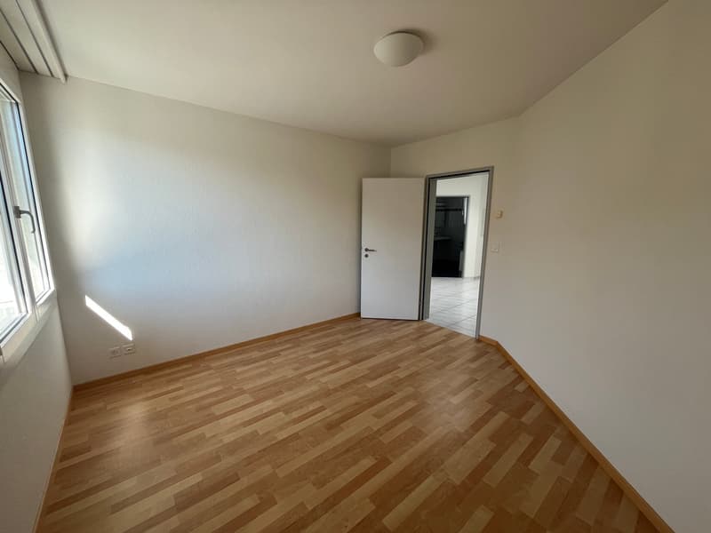 4.5-Zimmer Attika-Traum direkt an der Reuss (9)