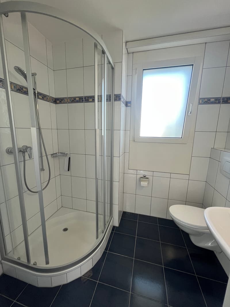4.5-Zimmer Attika-Traum direkt an der Reuss (5)