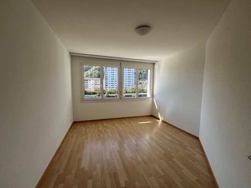 4.5-Zimmer Attika-Traum direkt an der Reuss (8)