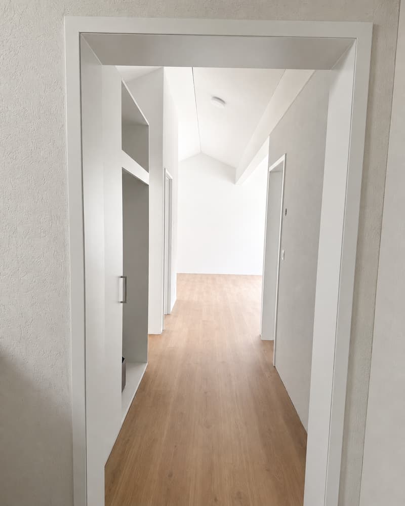 Neue 3.5-Zimmer Attikawohnung zu vermieten (Nr. 8 links) (3)
