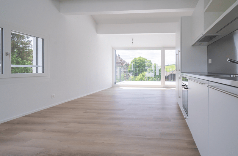 Neue 3.5-Zimmer Attikawohnung zu vermieten (Nr. 8 links) (2)