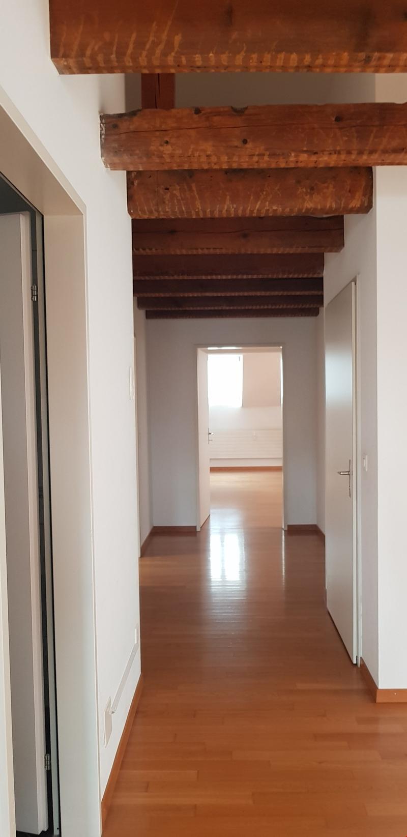 Charmante 3-Zimmer-Dachwohnung zu vermieten (9)