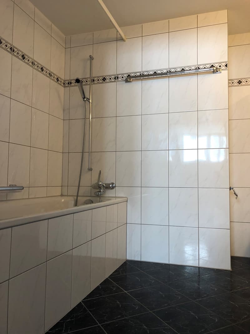 Charmante 3-Zimmer-Dachwohnung zu vermieten (3)
