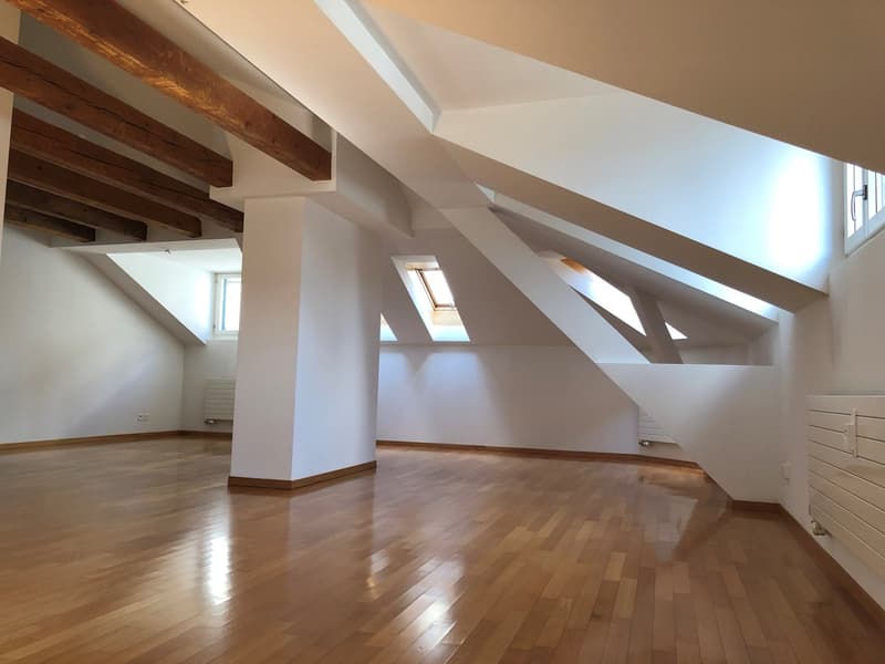 Charmante 3-Zimmer-Dachwohnung zu vermieten (4)