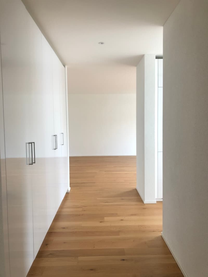 Moderne 3.5-Zimmerwohnung in der Tribschenstadt (5)