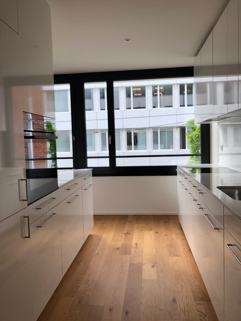 Moderne 3.5-Zimmerwohnung in der Tribschenstadt (2)