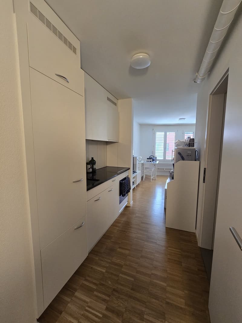Gemütliche 2.5-Zimmer-Wohnung an zentrumsnaher Lage in Luzern (1)