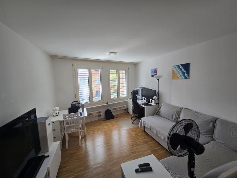 Gemütliche 2.5-Zimmer-Wohnung an zentrumsnaher Lage in Luzern (2)