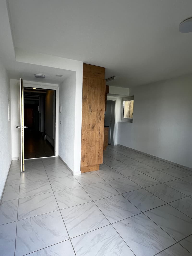 2-Zimmerwohnung über Luzern (3)