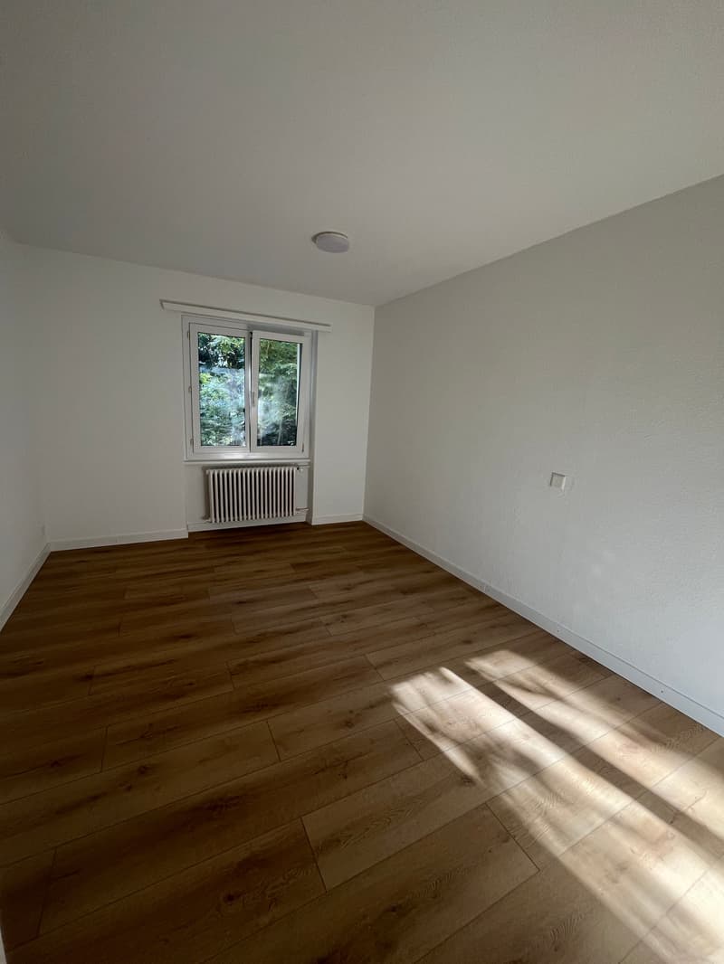 2-Zimmerwohnung über Luzern (5)