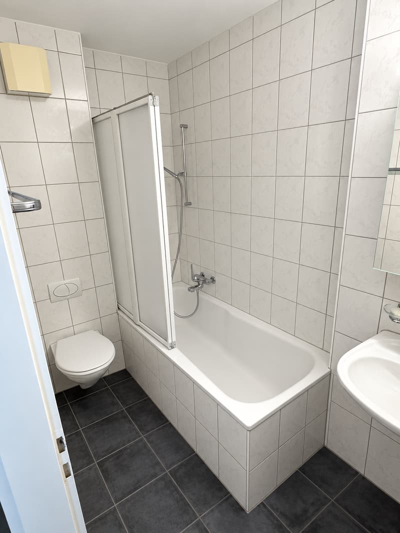 Gemütliche 3-Zimmer-Wohnung mit Balkon in Altdorf (4)