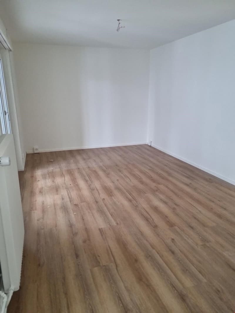 Tolle 3.5-Zimmerwohnung mit Aussicht (20031) (6)