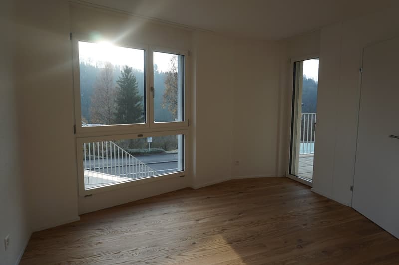 Moderne 3.5-Zimmer-Wohnung in Luzern (10001) (6)