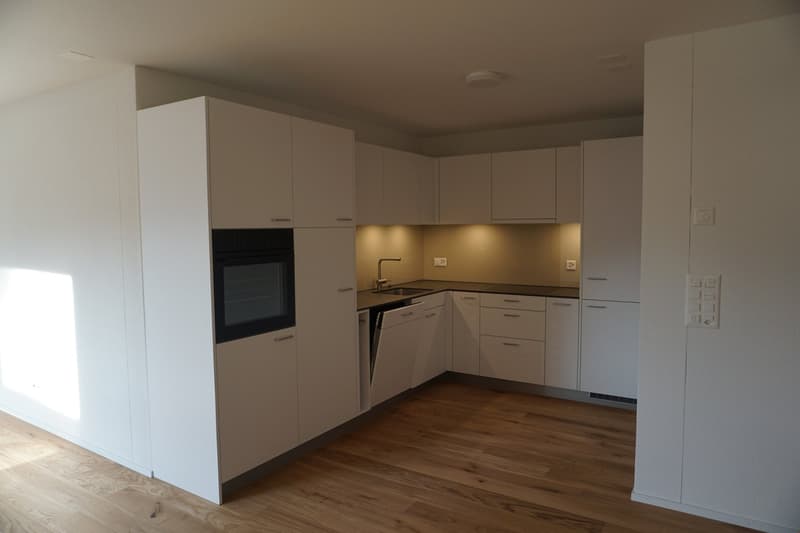 Moderne 3.5-Zimmer-Wohnung in Luzern (10001) (2)