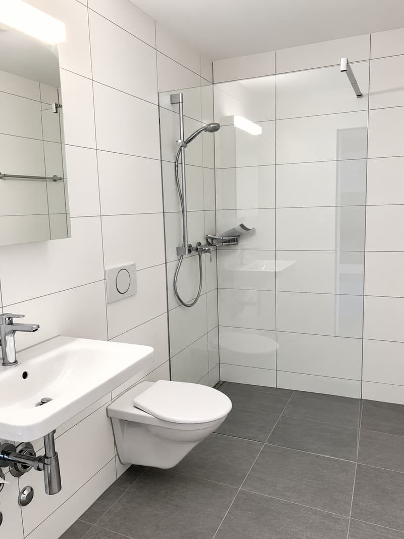 Moderne 3.5-Zimmer-Wohnung in Luzern (10001) (4)