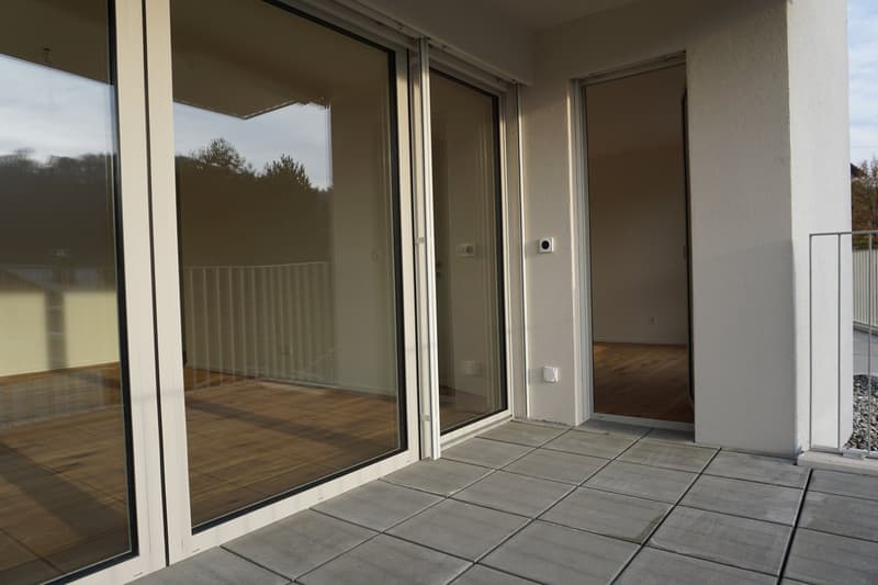 Moderne 3.5-Zimmer-Wohnung in Luzern (10001) (7)