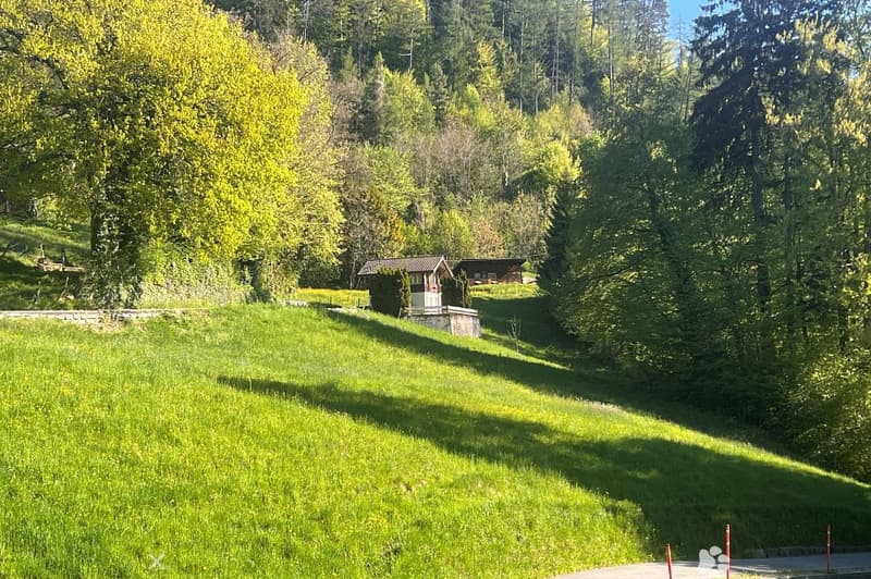 ZweiZimmerHaus im Rugenwald ... ERSTWOHNSITZ (2)