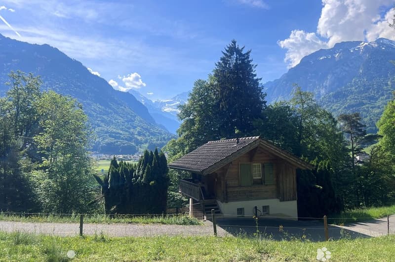 ZweiZimmerHaus im Rugenwald ... ERSTWOHNSITZ (3)