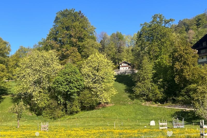 ZweiZimmerHaus im Rugenwald ... ERSTWOHNSITZ (1)