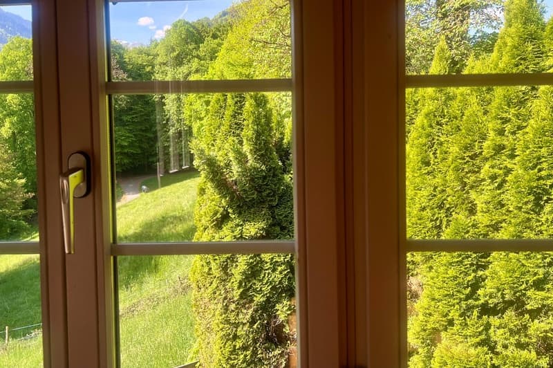 ZweiZimmerHaus im Rugenwald ... ERSTWOHNSITZ (10)