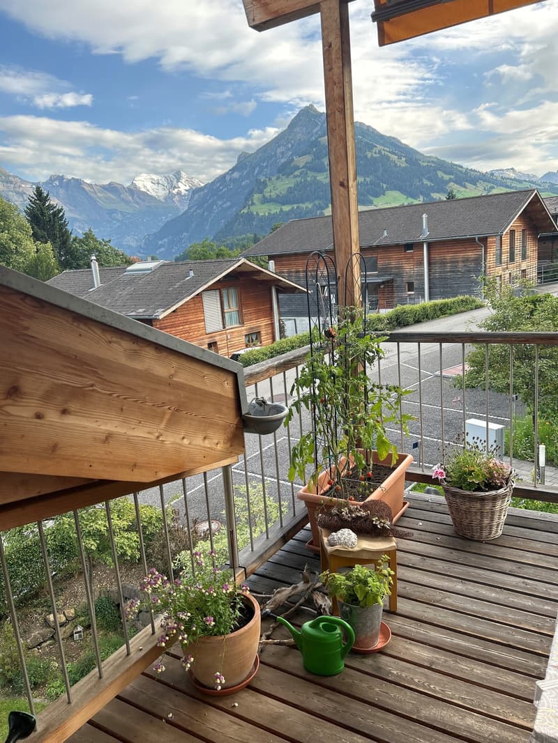 Moderne 4.5 Zimmer - Wohnung mit Blick auf die Kandertaler Bergwelt (1)