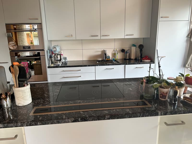 Moderne 4.5 Zimmer - Wohnung mit Blick auf die Kandertaler Bergwelt (6)