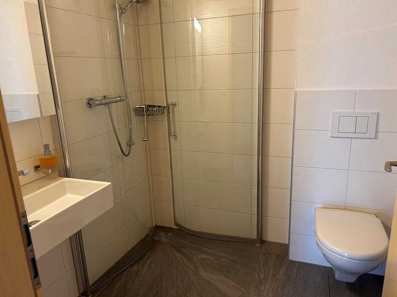Moderne 4.5 Zimmer - Wohnung mit Blick auf die Kandertaler Bergwelt (9)