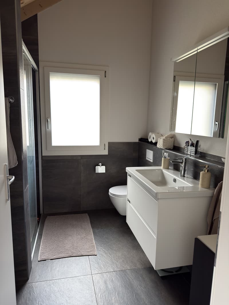Neuwertige, schöne 3.5 Zimmer Wohnungen (8)