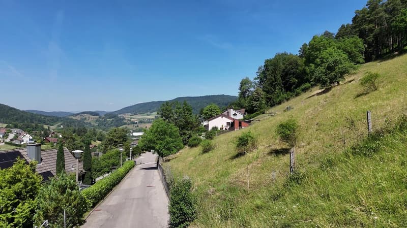 TrioVista C1 – Familienwohnen auf zwei Ebenen | 5.5 Zimmer Neubau (10)