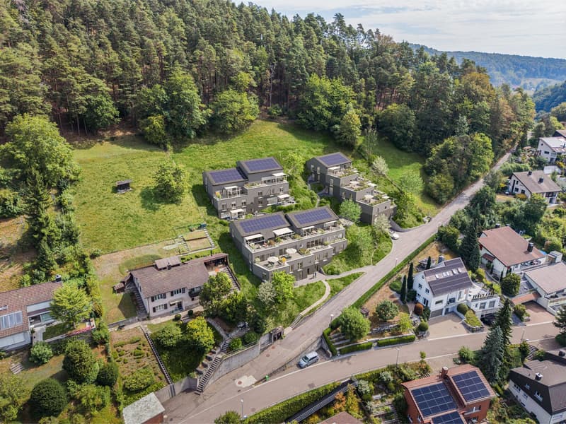 TrioVista C4 – 5.5 Zimmer mit grosszügigem Aussenraum Neubau (12)