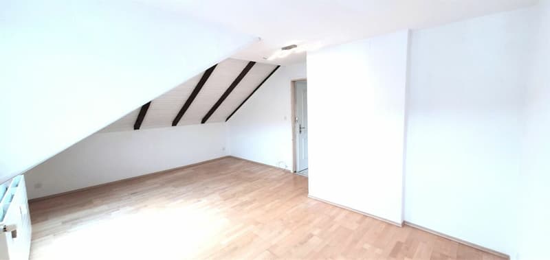 heimelige Dachwohnung an zentraler Lage (9)