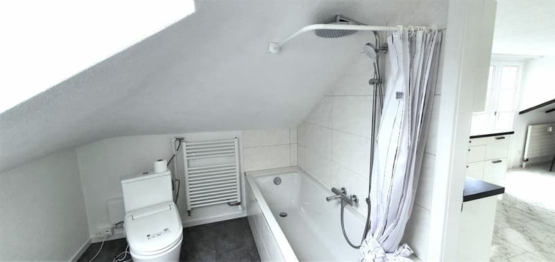 heimelige Dachwohnung an zentraler Lage (5)