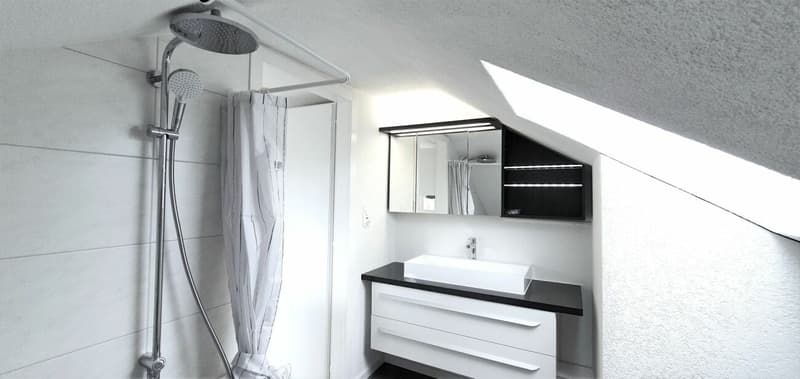 heimelige Dachwohnung an zentraler Lage (4)